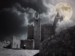 Papier Peint photo Château Château médiéval dans une nuit de pleine lune