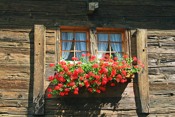 Fototapeta na wymiar Vintage Style Wooden Window With Flowers In Alps