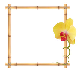 Realistic bamboo frame with orchid flower.