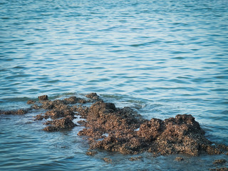 Beautiful seascape with blue sea and rock, Used for textured and background with space for your text.