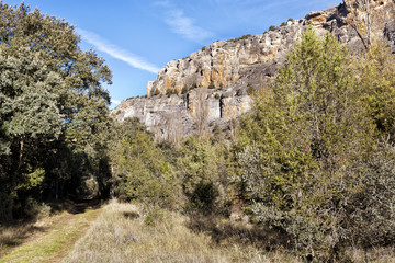 Fototapeta na wymiar Cañon del rio Riaza. Segovia.