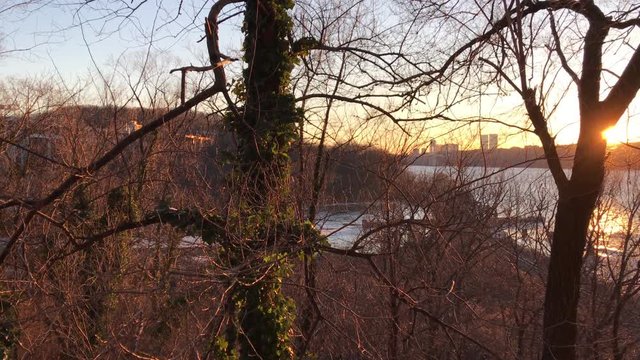 Hudson River through trees in winter in the Bronx