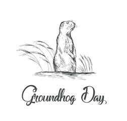 Happy Groundhog Day sketched vector illustration. 