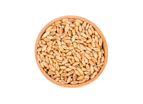 Wheat in bowl