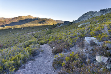 Cuerda de las Berceras. Sierra Norte. Segovia