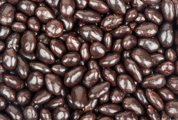 Sunflower seeds in chocolate