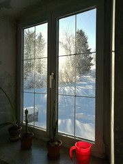 Blick aus dem Fenster eines alten Bauernhaus zur aufgehenden Sonne hinter alten Bäumen im Winter...