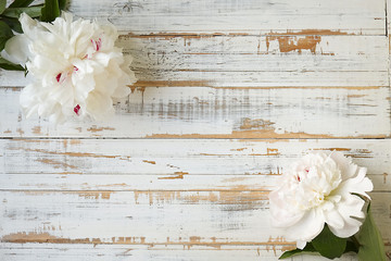Tender and soft white peonies on scratched wood textured table.