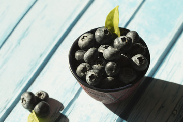 ripe freshly picked blueberries in a blue background table