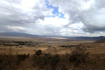 Ngorongoro Krater