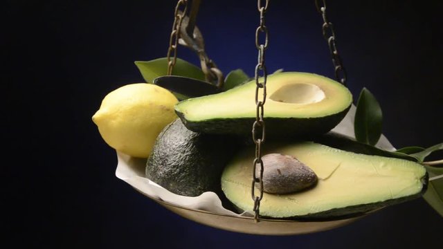 Persea americana Lauracee Aguacate Avocado أفوكادو Palta 鳄梨 Авокадо रूचिरा Ավոկադո Avokado Video Abacate アボカド