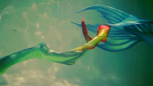 two multicolored tails of magical mermaids is waving near bottom of a sea, fairytale characters