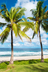 Panele Szklane  Plaża, wyspa, palmy kokosowe
