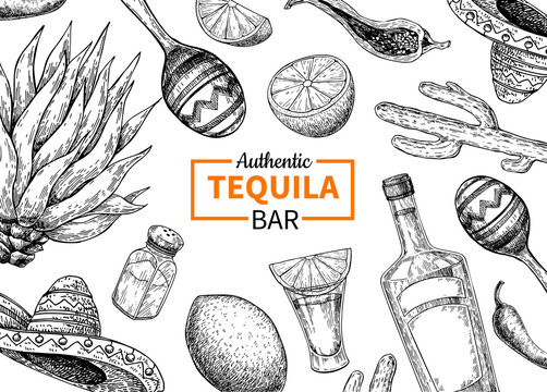 Tequila bar vector label. Mexican alcohol drink  drawing. Bottle