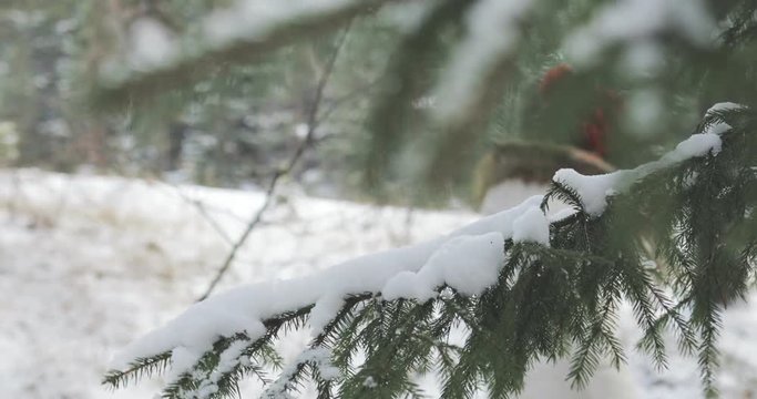 young beautiful girl woman brunnete smiling to the camera and running away outdoors, winter cold snowy forest