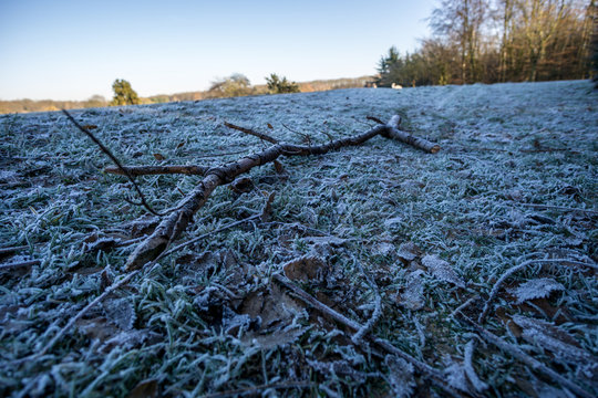 รูปภาพRodenkirchen – เลือกดูภาพถ่ายสต็อก เวกเตอร์ และวิดีโอ238 | Adobe ...