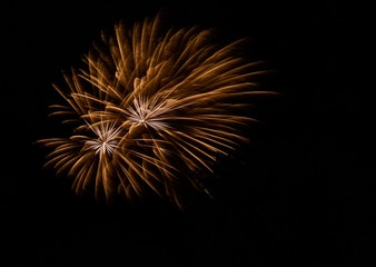 Obraz premium Firework