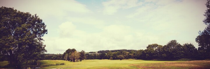 Obraz premium Forest and fields