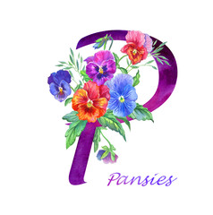 Letter "P" with pansies, watercolor drawing on white background isolated.