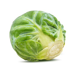 Obraz premium Fresh brussels sprout isolated on white background with clipping path