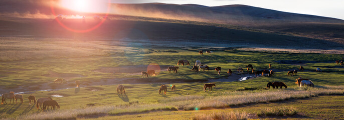 Sonnenlicht auf Tal ( Mongolei )