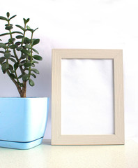 Empty white wooden frame mock up with plant.