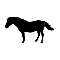 Fototapeta na wymiar Silhouette of horse in profile.