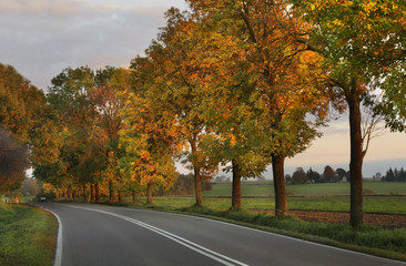 Obraz premium Road near Moniatycze. Poland