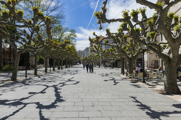 Obraz premium Platanenallee in der Altstadt von Burgos, Spanien
