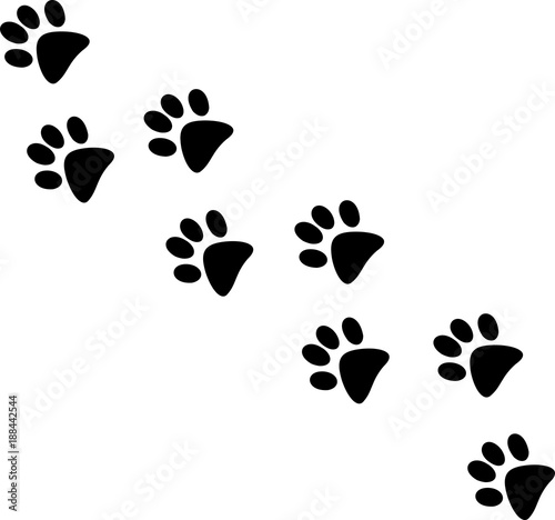 "Abdruck Pfote Katze" Stockfotos und lizenzfreie Vektoren auf Fotolia