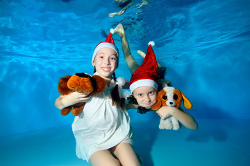 Obraz na płótnie Canvas Children in caps of Santa Claus are swimming and playing underwater in the pool, holding a toy dog - a symbol of 2018, looking at the camera and laugh. Portrait. Horizontal view