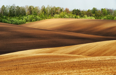 hilly field. picturesque hilly line