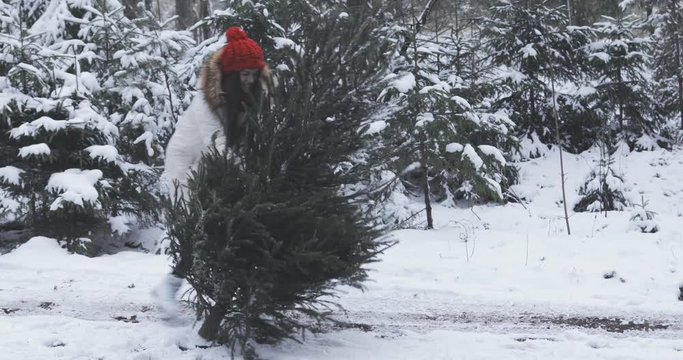 cute smiling girl trying to lift up fir (christmas tree, spruce), it falling down. young womn laughing and trying again. action in the snowy forest on the road