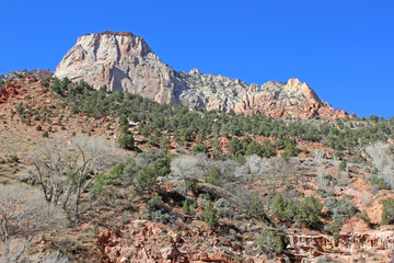 Zion National Park, Utah