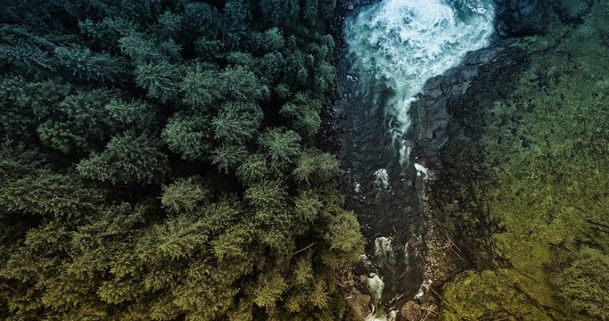 Fototapeta Waterfall and forest