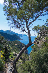 Aussichtspunkt Punta d´es Verger an Mallorcas Westküste