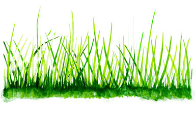 watercolor green grass background.