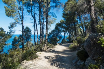 Wanderweg an der Westküste Mallorcas bei Banyalbufar und Valldemosa