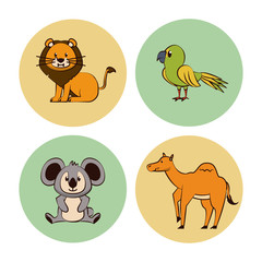 Cute animals cartoon round icons icon vector illustration graphic design