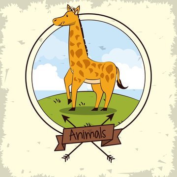 Cute giraffe cartoon icon vector illustration graphic design