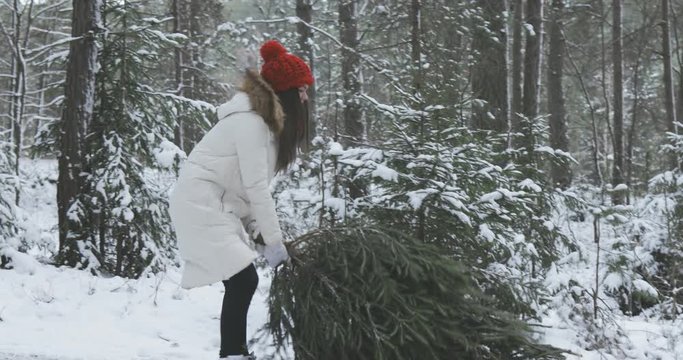 happy young brunette girl pulling a tree on the road, laughing, snowy winter forest or park