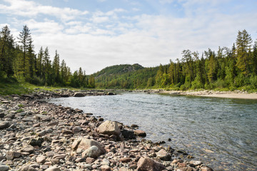 Northern taiga river in the summer.