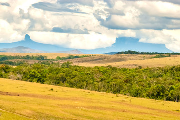 Yuruani Tepui and Wadakapiapo/Wadakapiapue/Wadaka Piapo Tepui, La Gran Sabana, Venezuela