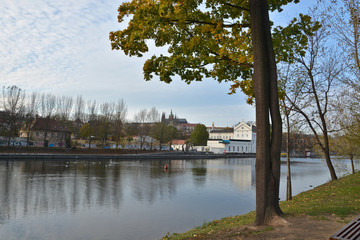 Fototapeta premium The embankment of Vltava and Prague Castle.