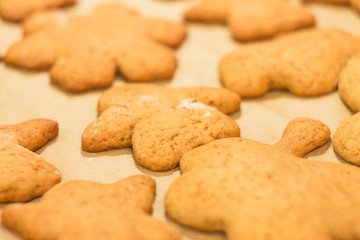 Ginger biscuits lie on a baking sheet. Cookies on baking paper. Selective focus.