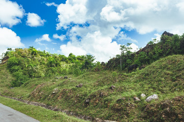 Beautiful vibrant background consisting of trees of the rain forest of Central America. Typical landscape of Dominican republic, Guatemala, Costa Rica.