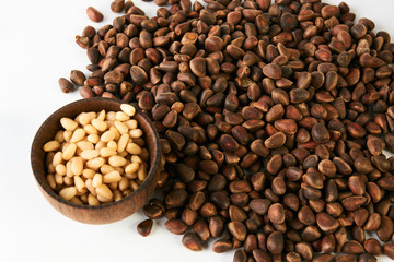 Pine cones with ripe cedar pine nuts