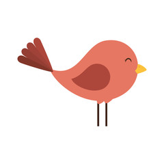 cute bird isolated icon vector illustration design