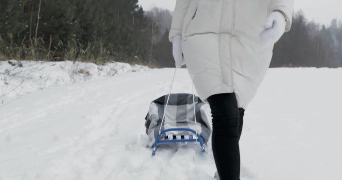 young smiling splendid brunette carrying sleigh (sledge) and coming towards camera (forward). winter snowy prk or forest, warn clothing on girl. front view