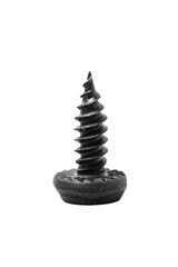 single black screw